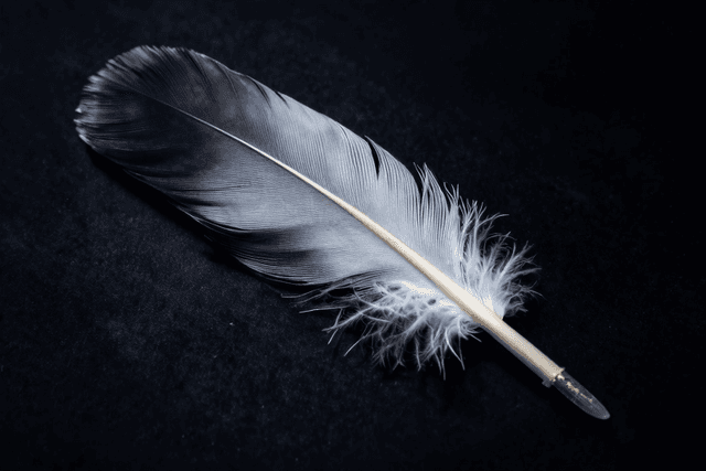 くすぐりプレイのグッズ比較——羽根・電動ブラシ・ファー・パウダー、感覚の違いを早穂が徹底検証