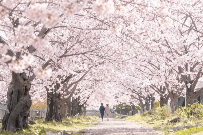 上野・御徒町で不倫カップルが使える昼デートスポット完全ガイド【2026年版】