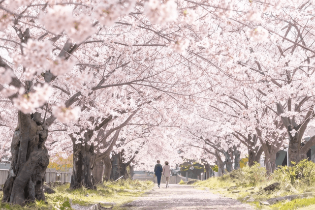 上野・御徒町で不倫カップルが使える昼デートスポット完全ガイド【2026年版】