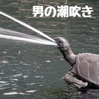男性の潮吹きについて調査してみた。