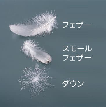 【全身が性感帯になる!】フェザータッチでイクには?アダム徳永の教えを参考に