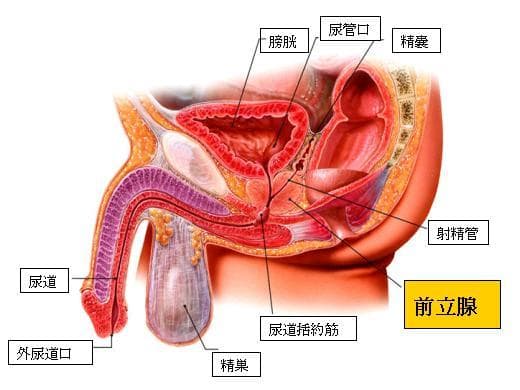 病院に運ばれる人が絶えない「間違ったドライオーガム達成法」とは?