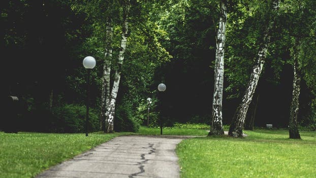 木陰に誘いこまれてショタ調教された少年 第①話