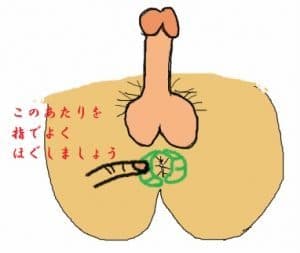 男のアナル開発*③アナル周辺をほぐそう!