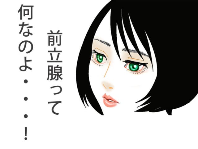 そういえば前立腺ってどんな器官なんだっけ?