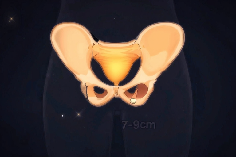 前立腺の位置と指の角度——断面図イラスト、肛門から7〜9cmの位置を示す