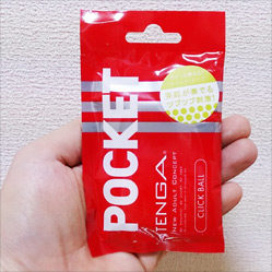 ポケットシリーズ