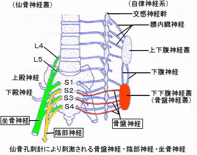 0f9bbb7ac807f237b757876d178d311c
